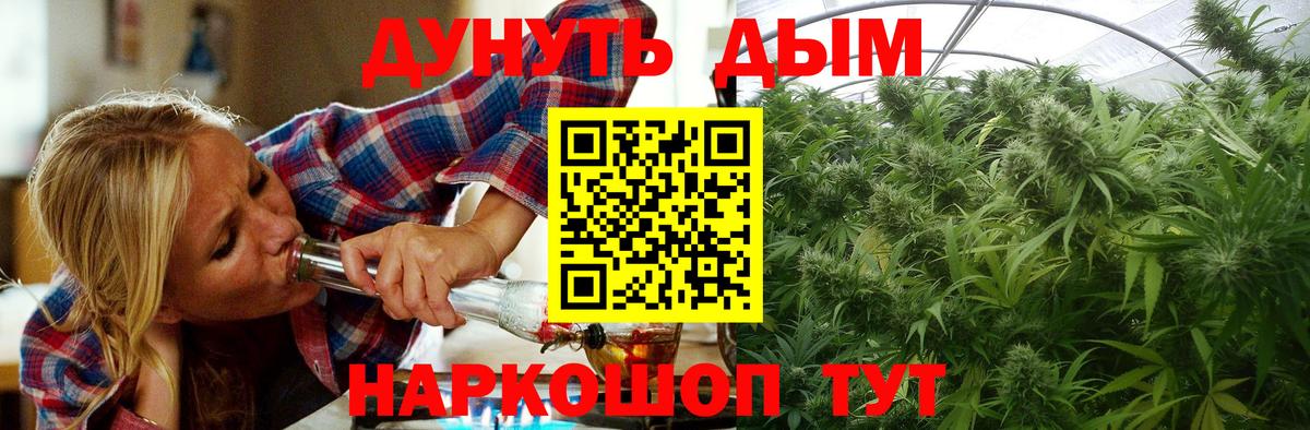 МАРИХУАНА план  Вход с VPN  Лесосибирск  Бошки Шишки ГИДРОПОН  Бошки Шишки планчик  Каннабис сатива 
